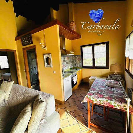 Apartamentos Rurales La Carbayala Oviñana Exterior foto